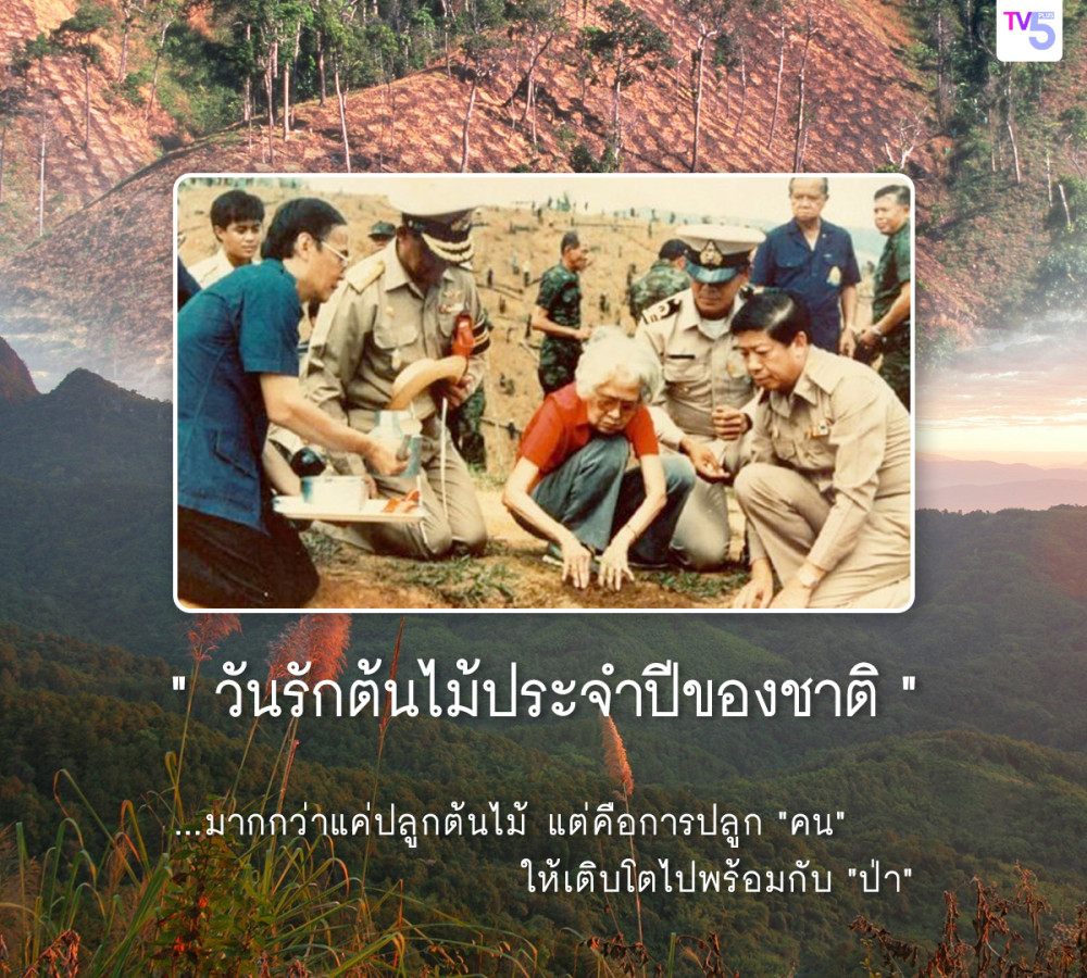 "วันรักต้นไม้ประจำปีของชาติ" วันที่ 21 ตุลาคม 2567