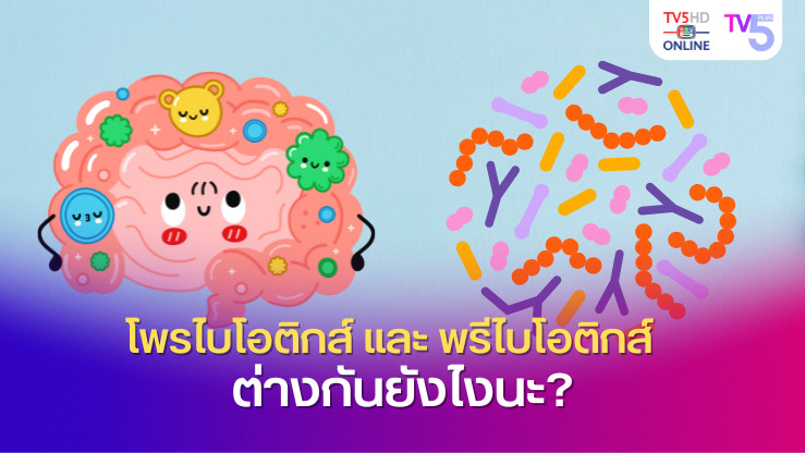 โพรไบโอติกส์ และ พรีไบโอติกส์ ต่างกันยังไงนะ?