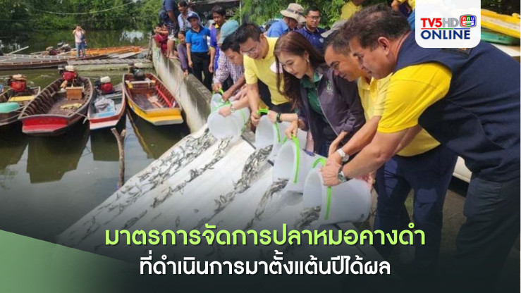 สำนักงานประมงพื้นที่กรุงเทพมหานคร เผยมาตรการจัดการปลาหมอคางดำที่ดำเนินการมาตั้งแต้นปีได้ผล