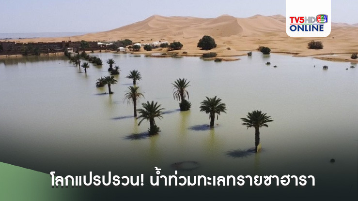 โลกแปรปรวน! น้ำท่วมทะเลทรายซาฮาราในโมร็อกโก