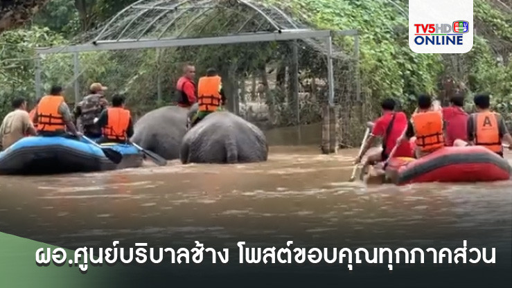 "แสงเดือน"ผอ.ศูนย์บริบาลช้าง โพสต์ขอบคุณทุกภาคส่วน รับจะนำเหตุการณ์คราวนี้ไปเป็นบทเรียน