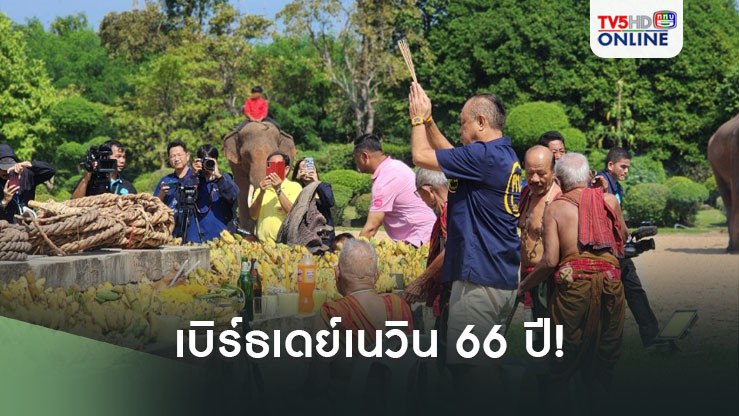 เบิร์ธเดย์เนวิน​​​ 66 ปี​! จัดพิธีปะกำช้างสืบทอดประเพณีวงษ์ตระกูล