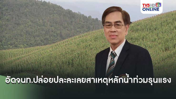 'นักวิชาการ' อัดจนท.ปล่อยปละละเลย ปลูกพืช ทำเกษตรบนภูเขา สาเหตุหลักน้ำท่วมรุนแรง