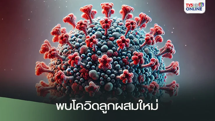 พบโควิดลูกผสมใหม่ "KP.2.3/XEC" แพร่เร็วกว่าเดิม 2 เท่า