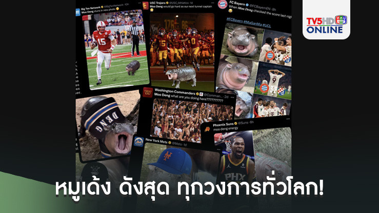 หมูเด้ง ดังสุด ทุกวงการทั่วโลก!