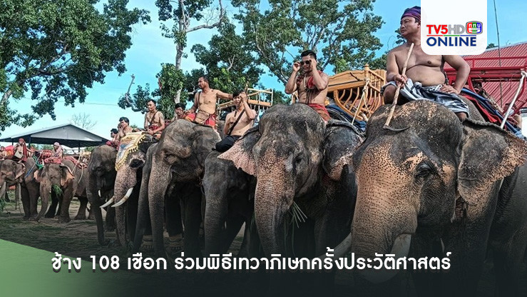 รวมพลังศรัทธา! ช้าง 108 เชือก ร่วมพิธีเทวาภิเษกครั้งประวัติศาสตร์ ณ สุรินทร์