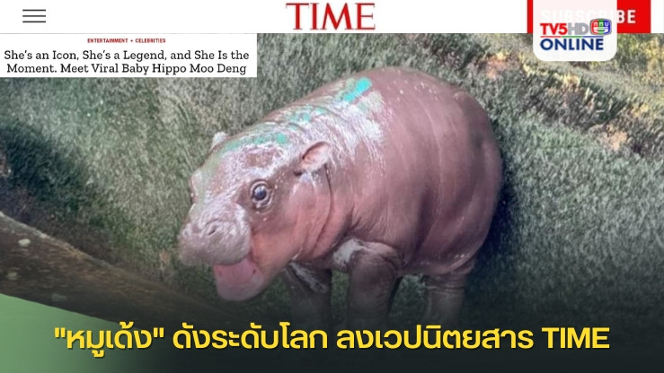 "หมูเด้ง" ดังระดับโลก ลงเวปนิตยสาร TIME