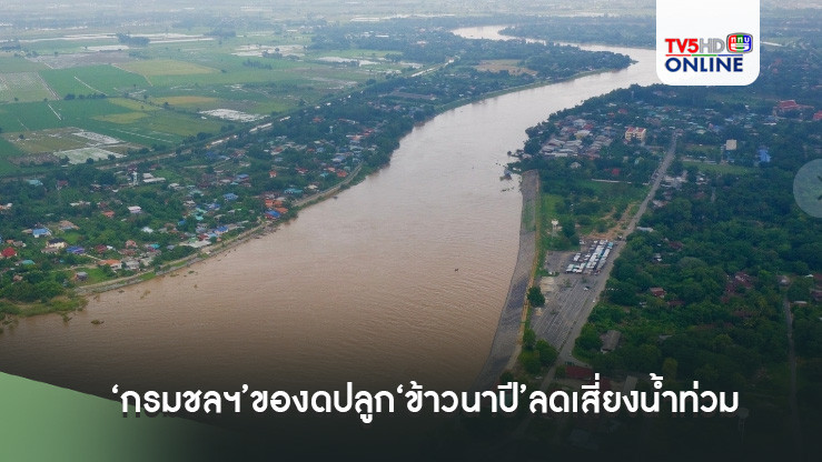‘กรมชลประทาน’ขอเกษตรกรลุ่มเจ้าพระยา งดปลูก‘ข้าวนาปี’ต่อเนื่อง ลดเสี่ยงน้ำท่วม