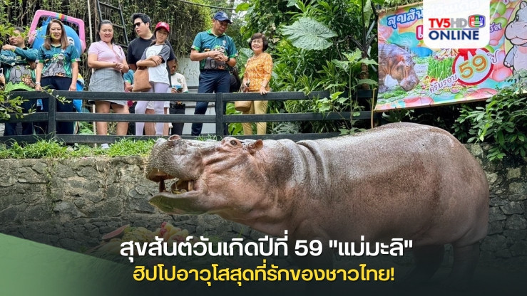 สุขสันต์วันเกิดปีที่ 59 "แม่มะลิ" ฮิปโปอาวุโสสุดที่รักของชาวไทย!