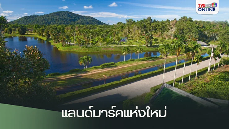 อ่างเก็บน้ำพิกุลทอง - แลนด์มาร์คแห่งใหม่ โดนใจสายแคมป์ปิ้ง