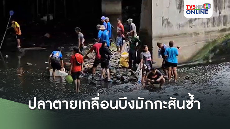 ปลาตายเกลื่อนบึงมักกะสันซ้ำ! ชาวบ้านแห่จับปลา
