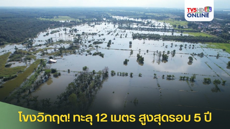 น้ำโขงวิกฤต! ทะลุ 12 เมตร สูงสุดรอบ 5 ปี