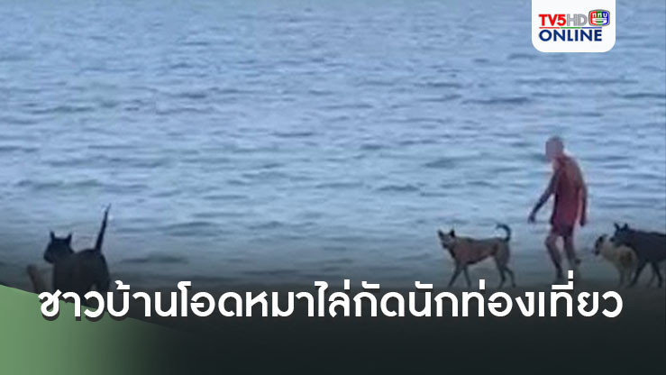 ชาวบ้านโอดฝรั่งเลี้ยงหมาพาเดินชายหาดไล่กัดนักท่องเที่ยวเจ็บแล้วกว่า 10 ราย