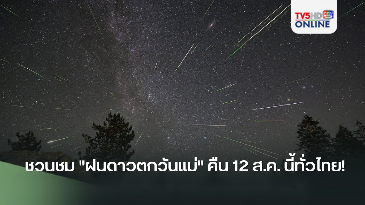 ชวนชม "ฝนดาวตกวันแม่" คืน 12 ส.ค. นี้ทั่วไทย!