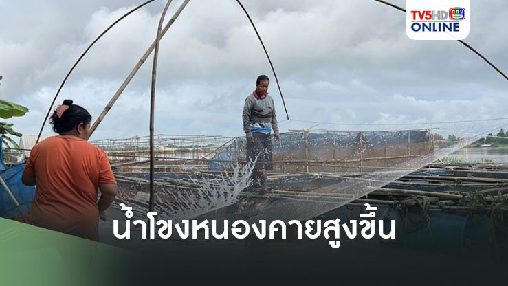 น้ำโขงหนองคายสูงขึ้น เตือนผู้เลี้ยงปลากระชังระวังหลุด
