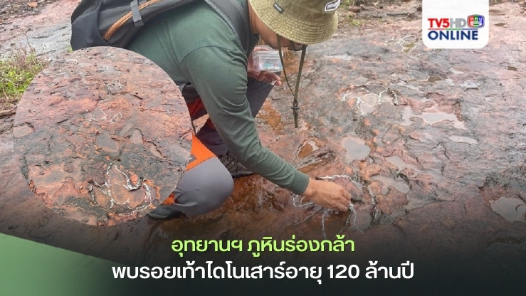 อุทยานฯ ภูหินร่องกล้า พบรอยเท้าไดโนเสาร์ดึกดำบรรพ์ อายุ 120 ล้านปี