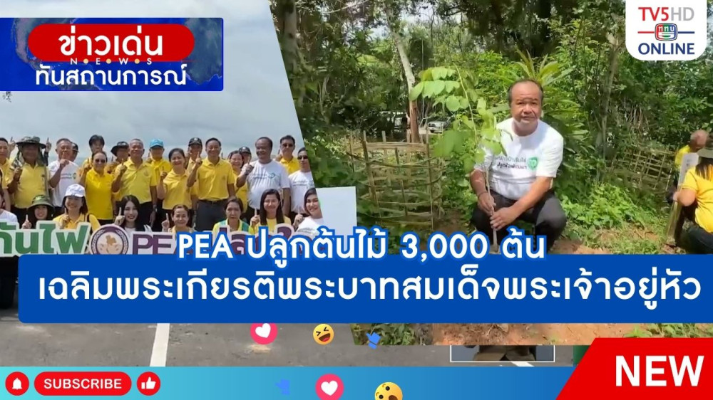 PEA ปลูกต้นไม้ 3,000 ต้น เฉลิมพระเกียรติพระบาทสมเด็จพระเจ้าอยู่หัว