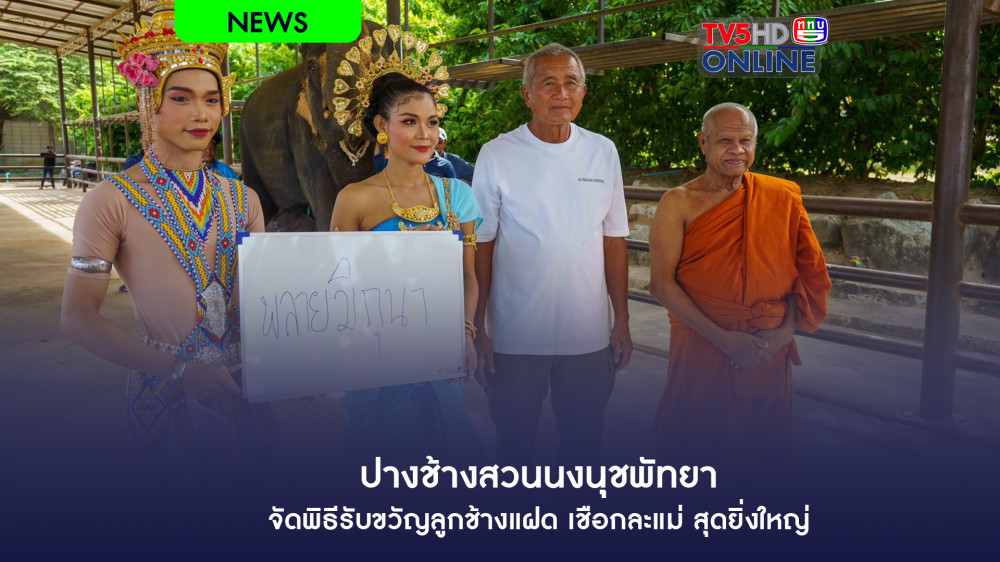 ปางช้างสวนนงนุชพัทยา จัดพิธีรับขวัญลูกช้างแฝด เชือกละแม่ สุดยิ่งใหญ่
