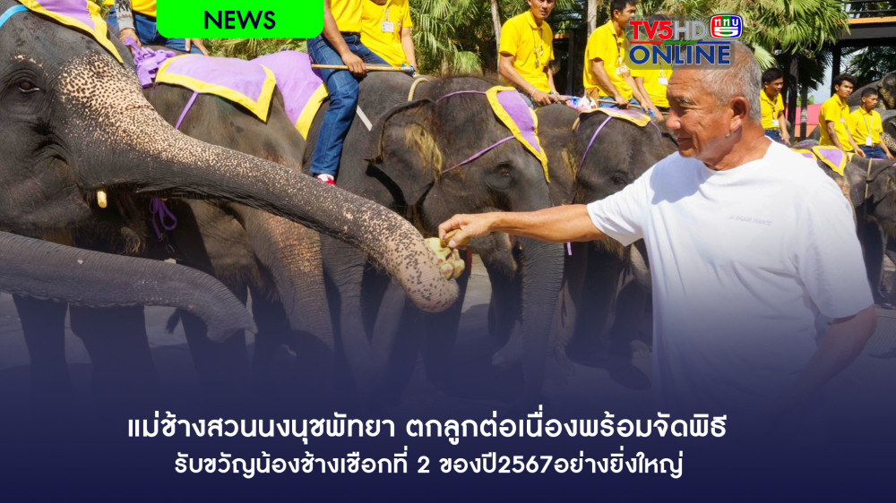 แม่ช้างสวนนงนุชพัทยา ตกลูกต่อเนื่องพร้อมจัดพิธีรับขวัญน้องช้างเชือกที่ 2 ของปี2567อย่างยิ่งใหญ่