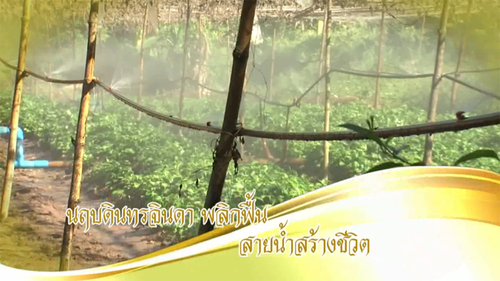 ใต้ร่มพระบารมี ตอน“ นฤบดินทร์จินดา พลิกฟื้น สายน้ำสร้างชีวิต“ วันอาทิตย์ที่ 19 พ.ค. 67
