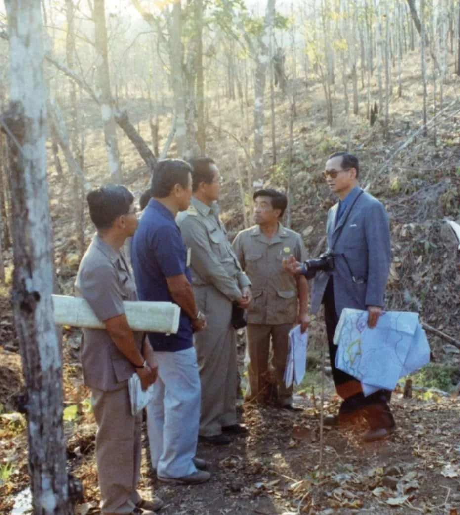 ปลูกป่า 3 อย่าง ได้ประโยชน์ 4 อย่าง พระราชดำริเพื่อการใช้ทรัพยากรธรรมชาติอย่างยั่งยืน