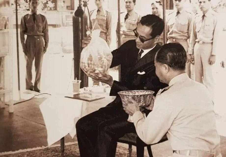 จุดกำเนิดปลานิลจิตรลดา ปลาพระราชทานจาก ในหลวง รัชกาลที่ 9