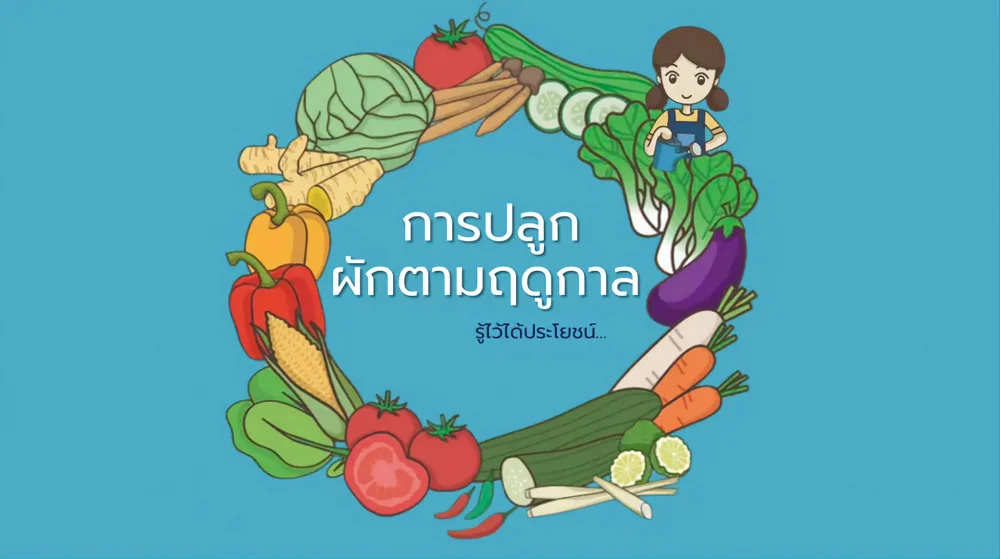 ปลูกผักตามฤดูกาล รู้ไว้ได้ประโยชน์...รู้หรือไม่?