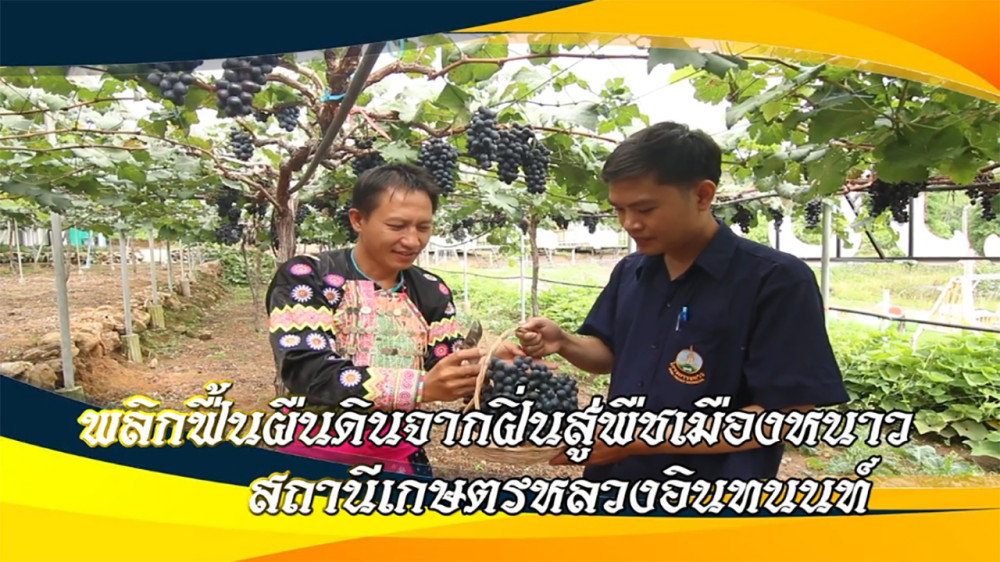 ใต้ร่มพระบารมี พลิกฟื้นผืนดินจากฝิ่น สู่พืชเมืองหนาว สถานีเกษตรหลวงอินทนนท์ วันที่ 24 ก.พ. 67