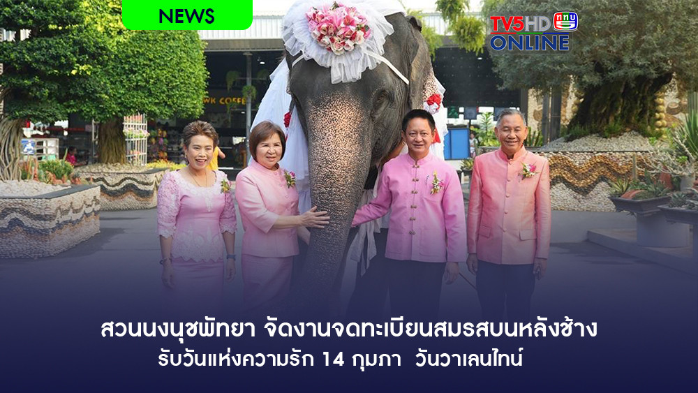 สวนนงนุชพัทยา จัดงานจดทะเบียนสมรสบนหลังช้างรับวันแห่งความรัก 14 กุมภา  วันวาเลนไทน์