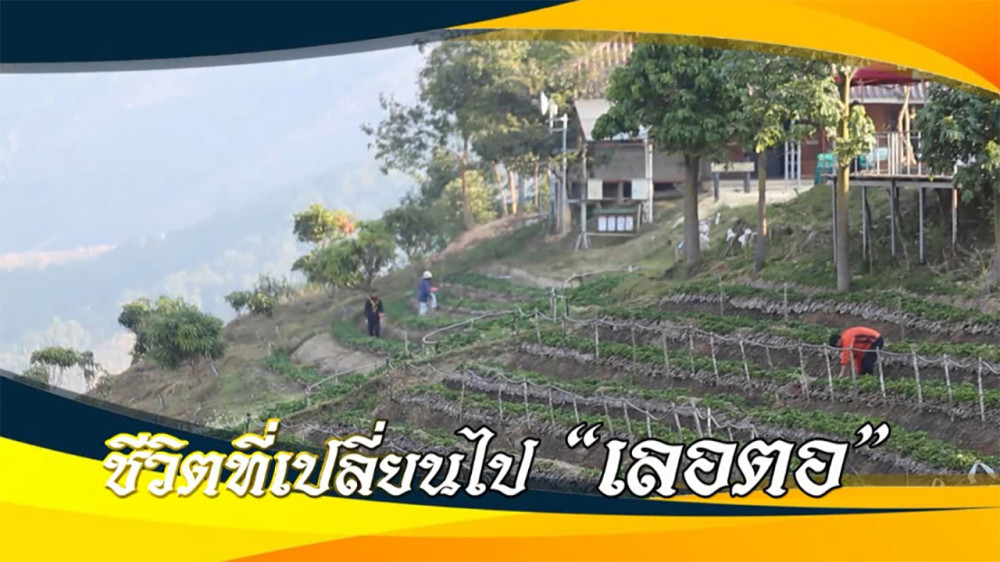 ใต้ร่มพระบารมี ชีวิตที่เปลี่ยนไป “เลอตอ” วันอาทิตย์ที่ 4 กุมภาพันธ์ 2567