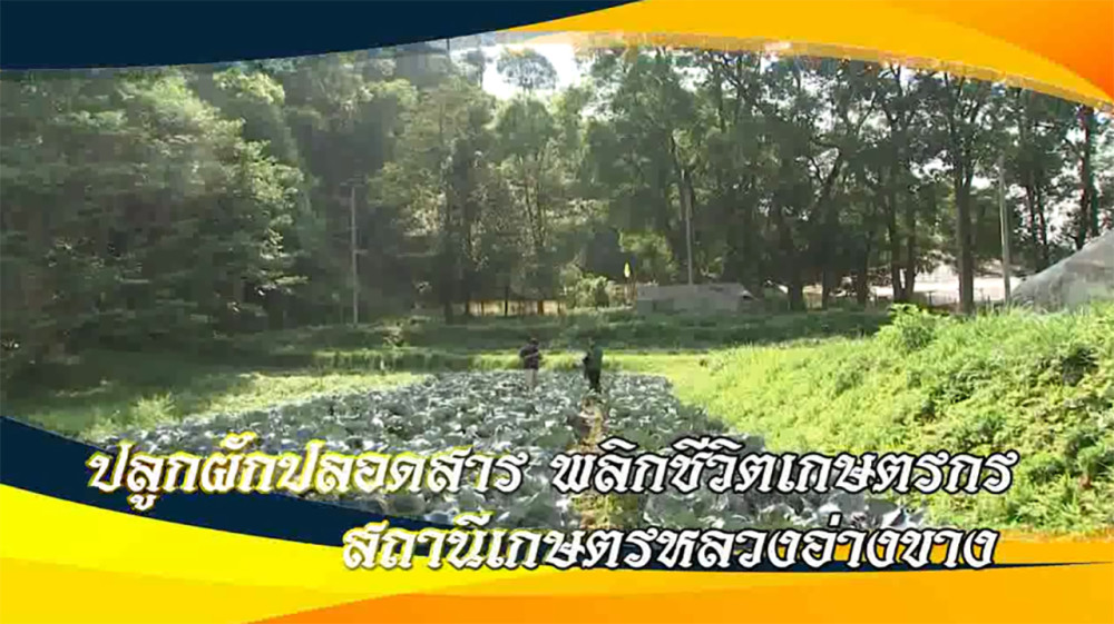 ใต้ร่มพระบารมี ปลูกผักปลอดปลอดสาร พลิกชีวิตเกษตรกร สถานีเกษตรหลวงอ่างขาง วันอาทิตย์ที่ 28 มกราคม 2567