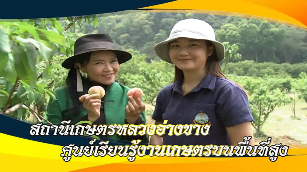 ใต้ร่มพระบารมี เฉลิมพระเกียรติ มหามงคลเฉลิมพระชนมพรรษา6รอบ 2567 วันเสาร์ที่27 มกราคม 2567
