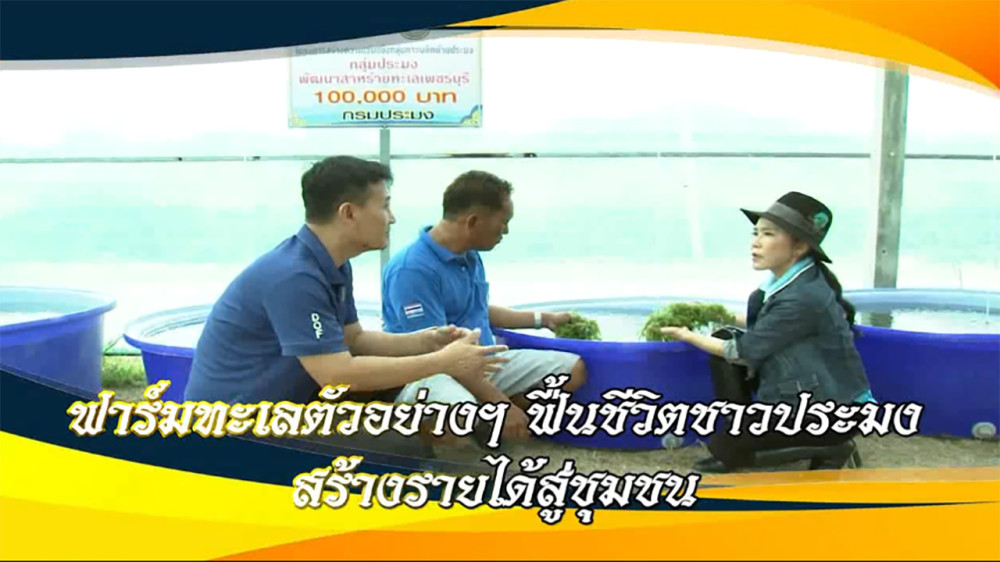ใต้ร่มพระบารมี ฟาร์มทะเลตัวอย่างฯฟื้นชีวิตชาวประมง สร้างรายได้สู่ชุมชน วันอาทิตย์ที่ 24 ธันวาคม 2566