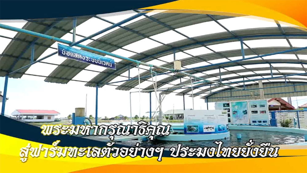 ใต้ร่มพระบารมี พระมหากรุณาธิคุณ สู่ฟาร์มทะเลตัวอย่างฯ  ประมงไทยยั่งยืน วันเสาร์ที่ 23 ธันวาคม 2566