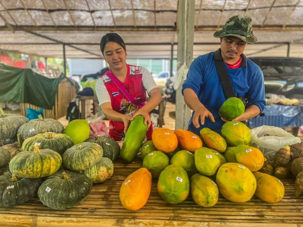 ตลาดกะเหรี่ยง ชาวไร่ ในพื้นที่ ต.แก่นมะกรูด