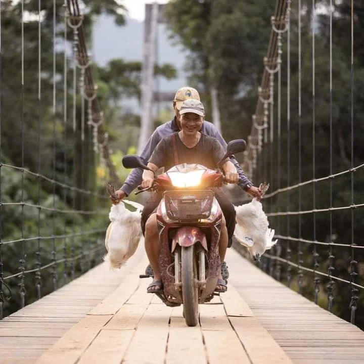 "ไก่ดำ ปกากะญอ" ของ ลุงดอยหมุย่อ