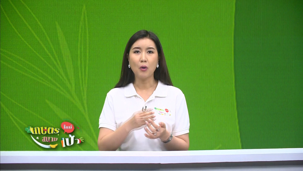 รายการเกษตรใหม่สนามเป้า EP.40 วันพุธที่ 1 พ.ย. 66