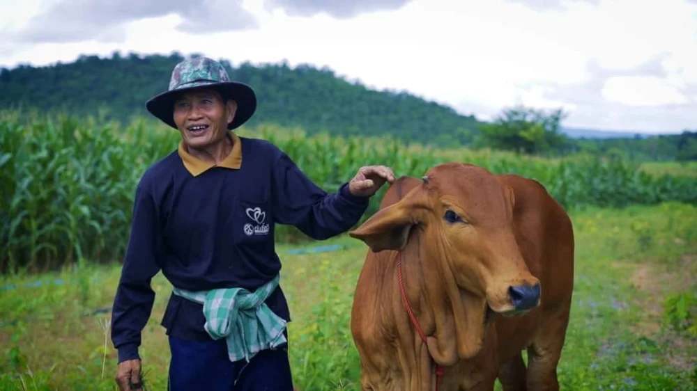 "ลุงบุญมาก สิงห์คำป้อง"  เกษตรกรต้นแบบปิดทองหลังพระฯ