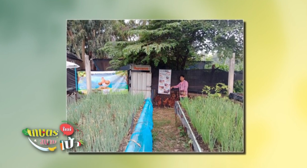 EP.38 รายการเกษตรใหม่สนามเป้า วันพุธที่ 18 ต.ค. 2566