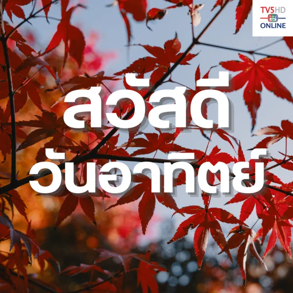 วันอาทิตย์