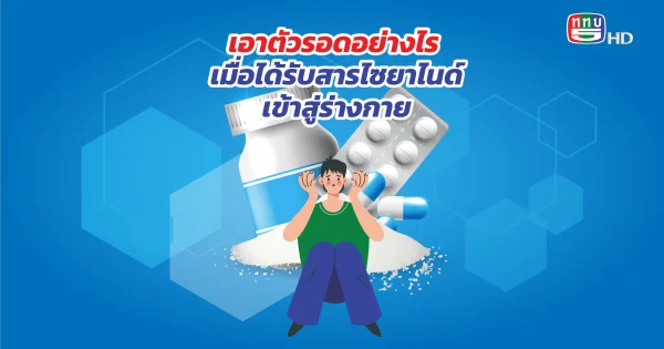 โรงพยาบาลศิริราชเผยวิธีเอาตัวรอด เมื่อได้รับสารไซยาไนด์เข้าสู่ร่างกาย