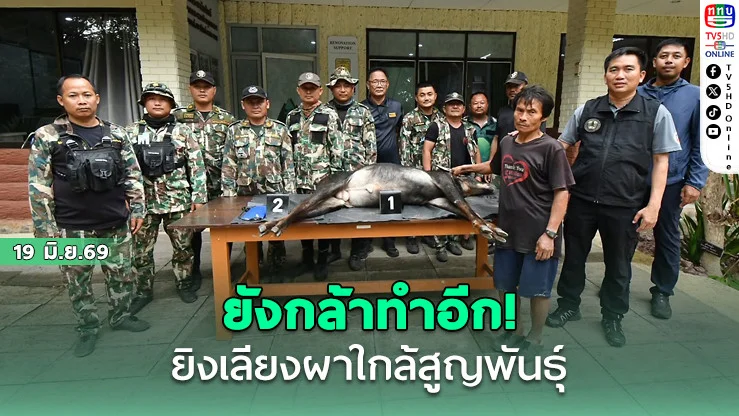 เลวเกินรับได้! รวบพรานยิง "เลียงผา" สัตว์ป่าสงวนใกล้สูญพันธุ์กลางแก่งกระจาน