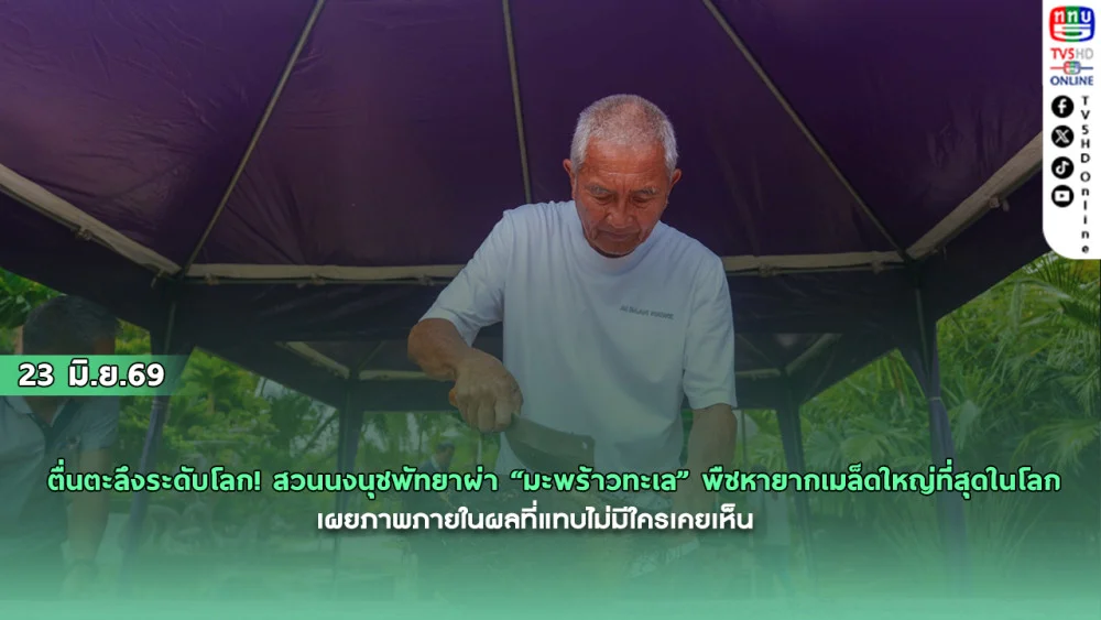 ตื่นตะลึงระดับโลก! สวนนงนุชพัทยาผ่า "มะพร้าวทะเล" พืชหายากเมล็ดใหญ่ที่สุดในโลก
