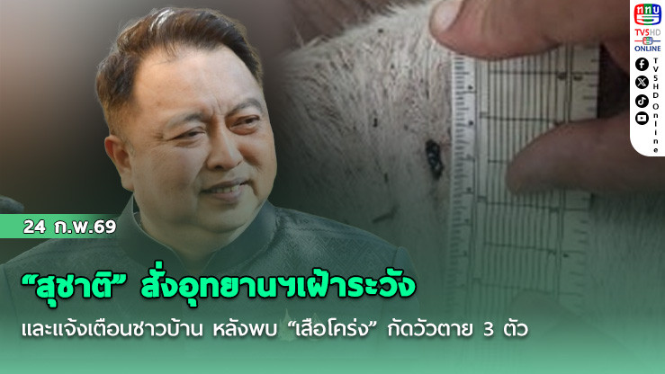 สุชาติ" สั่งอุทยานฯเฝ้าระวังและแจ้งเตือนชาวบ้าน หลังพบ "เสือโคร่ง" กัดวัวตาย 3 ตัว แถวดอยอินทนนท์