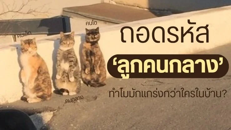 ถอดรหัส ‘ลูกคนกลาง’ ทำไมมักแกร่งกว่าใครในบ้าน