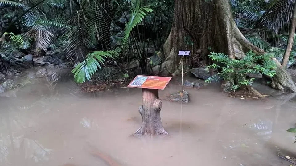 ฝนถล่มอุทัยธานี สั่งปิดห้วยขาแข้ง–หุบป่าตาด–เขาปลาร้าชั่วคราว