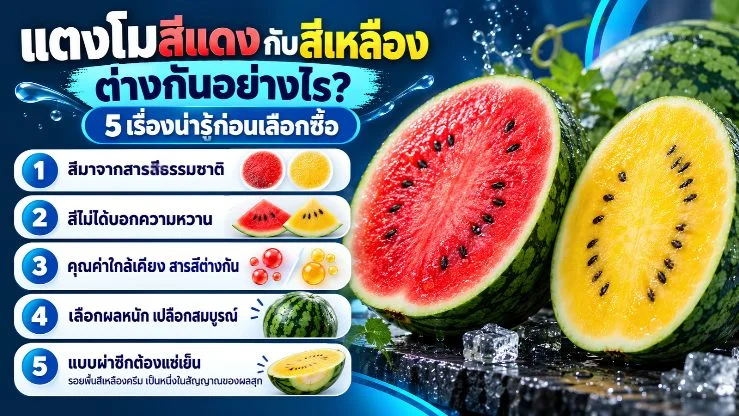 “แตงโมสีแดงกับสีเหลืองต่างกันอย่างไร?” 5 เรื่องน่ารู้ก่อนเลือกซื้อ