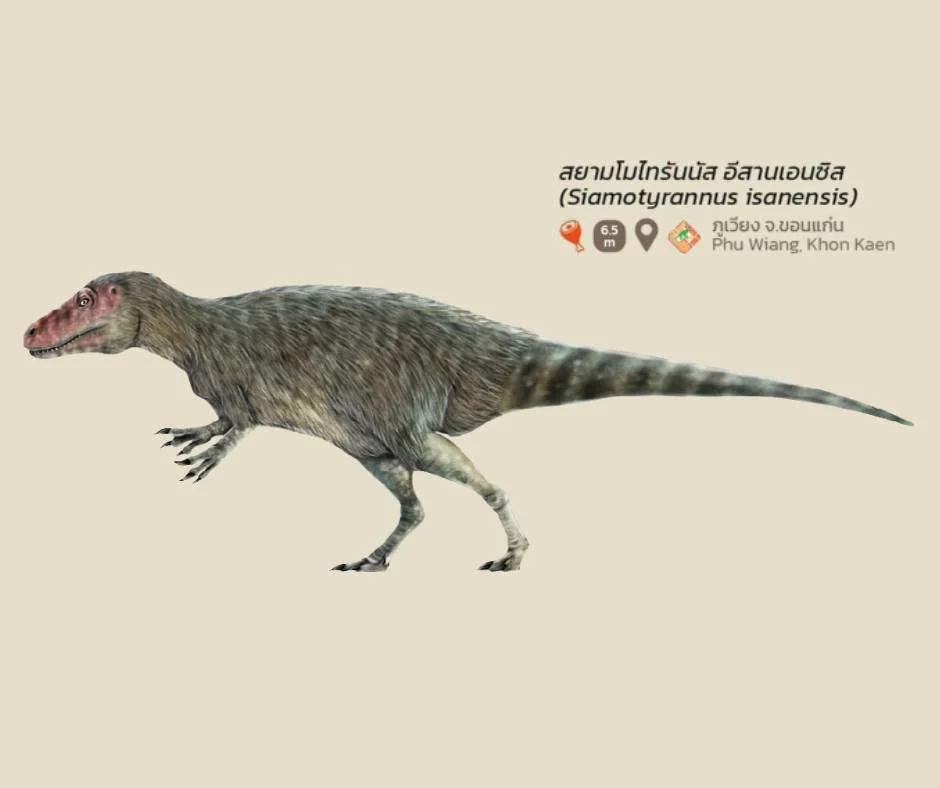 รูปภาพบทความ