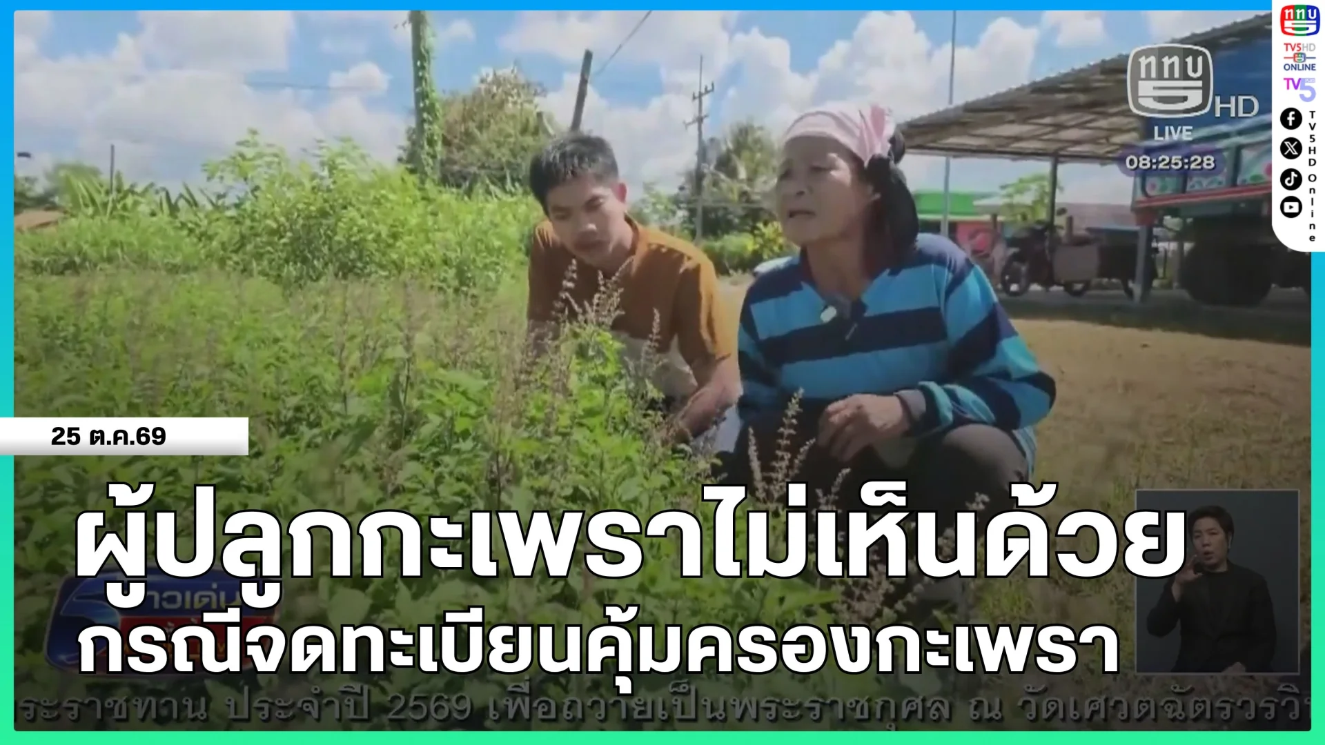 ผู้ปลูกกะเพราไม่เห็นด้วยกรณีจดทะเบียนคุ้มครองกะเพรา